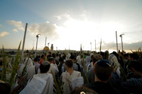 Hoshana Rabbah/Simchat Torah